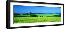 Green Field Japan-null-Framed Photographic Print
