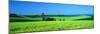 Green Field Japan-null-Mounted Photographic Print