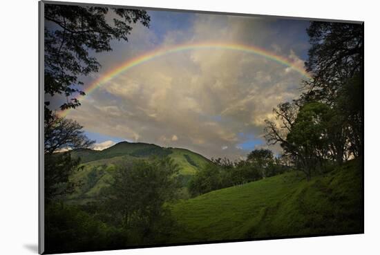 Green Field with Clouds & Rainbow-Nish Nalbandian-Mounted Art Print