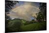 Green Field with Clouds & Rainbow-Nish Nalbandian-Mounted Art Print