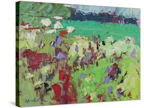Green Field-Sylvia Paul-Stretched Canvas