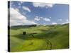 Green Fields from Road S 561, Pergusa, Enna, Sicily, Italy-Walter Bibikow-Stretched Canvas