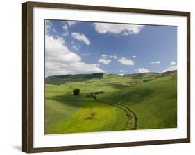 Green Fields from Road S 561, Pergusa, Enna, Sicily, Italy-Walter Bibikow-Framed Photographic Print