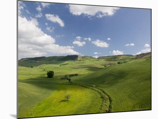 Green Fields from Road S 561, Pergusa, Enna, Sicily, Italy-Walter Bibikow-Mounted Photographic Print