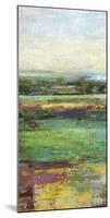 Green Fields I-Paul Duncan-Mounted Giclee Print