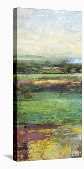 Green Fields I-Paul Duncan-Stretched Canvas