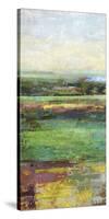 Green Fields I-Paul Duncan-Stretched Canvas