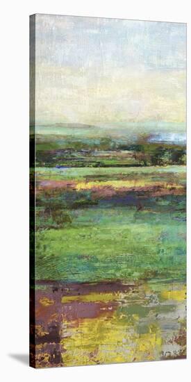 Green Fields I-Paul Duncan-Stretched Canvas