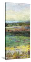 Green Fields II-Paul Duncan-Stretched Canvas