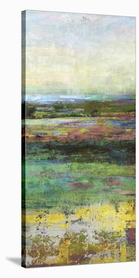 Green Fields II-Paul Duncan-Stretched Canvas