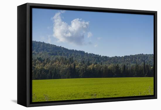 Green Fields of Galilee in Spring.-Richard T. Nowitz-Framed Stretched Canvas