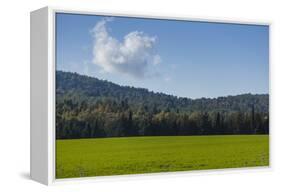 Green Fields of Galilee in Spring.-Richard T. Nowitz-Framed Stretched Canvas