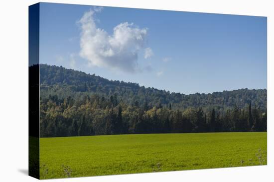 Green Fields of Galilee in Spring.-Richard T. Nowitz-Stretched Canvas