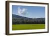 Green Fields of Galilee in Spring.-Richard T. Nowitz-Framed Premium Photographic Print