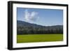 Green Fields of Galilee in Spring.-Richard T. Nowitz-Framed Premium Photographic Print