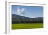 Green Fields of Galilee in Spring.-Richard T. Nowitz-Framed Premium Photographic Print