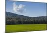 Green Fields of Galilee in Spring.-Richard T. Nowitz-Mounted Premium Photographic Print