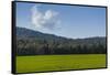 Green Fields of Galilee in Spring.-Richard T. Nowitz-Framed Stretched Canvas