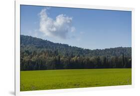 Green Fields of Galilee in Spring.-Richard T. Nowitz-Framed Photographic Print