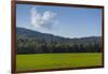 Green Fields of Galilee in Spring.-Richard T. Nowitz-Framed Photographic Print