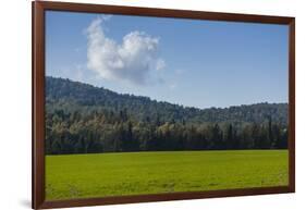 Green Fields of Galilee in Spring.-Richard T. Nowitz-Framed Photographic Print