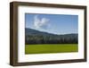 Green Fields of Galilee in Spring.-Richard T. Nowitz-Framed Photographic Print