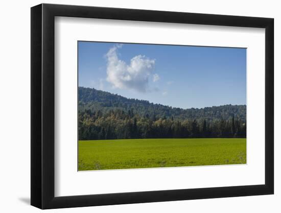 Green Fields of Galilee in Spring.-Richard T. Nowitz-Framed Photographic Print