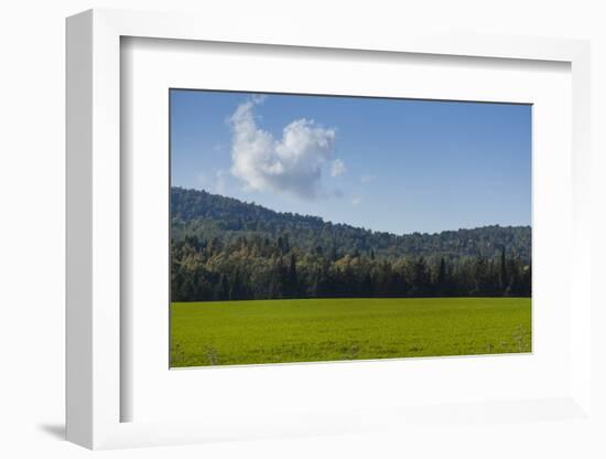 Green Fields of Galilee in Spring.-Richard T. Nowitz-Framed Photographic Print