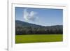 Green Fields of Galilee in Spring.-Richard T. Nowitz-Framed Photographic Print