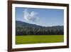 Green Fields of Galilee in Spring.-Richard T. Nowitz-Framed Photographic Print