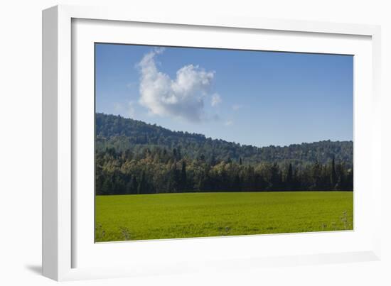 Green Fields of Galilee in Spring.-Richard T. Nowitz-Framed Photographic Print