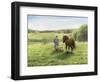 Green Fields of Home-Kevin Dodds-Framed Giclee Print