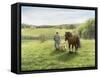 Green Fields of Home-Kevin Dodds-Framed Stretched Canvas