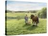 Green Fields of Home-Kevin Dodds-Stretched Canvas