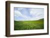 Green Fields of Spring Wheat-Terry Eggers-Framed Photographic Print