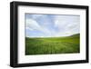 Green Fields of Spring Wheat-Terry Eggers-Framed Photographic Print