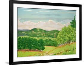 Green Fields-Ray Ciarrocchi-Framed Collectable Print