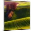 Green Fields-null-Mounted Art Print