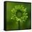 Green Flower on Green-Tom Quartermaine-Framed Stretched Canvas