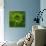 Green Flower on Green-Tom Quartermaine-Giclee Print displayed on a wall