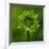 Green Flower on Green-Tom Quartermaine-Framed Giclee Print