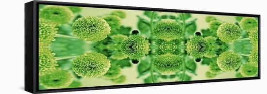 Green Flowers Kalidascope Effect-Tom Quartermaine-Framed Stretched Canvas