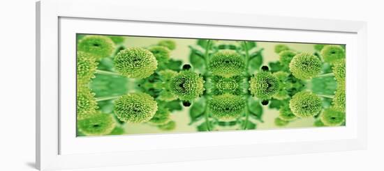 Green Flowers Kalidascope Effect-Tom Quartermaine-Framed Giclee Print