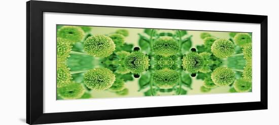 Green Flowers Kalidascope Effect-Tom Quartermaine-Framed Giclee Print