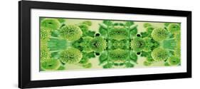 Green Flowers Kalidascope Effect-Tom Quartermaine-Framed Giclee Print