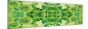 Green Flowers Kalidascope Effect-Tom Quartermaine-Mounted Giclee Print