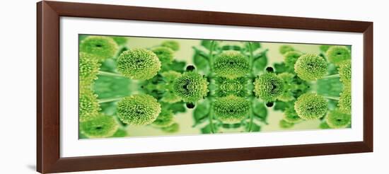 Green Flowers Kalidascope Effect-Tom Quartermaine-Framed Giclee Print