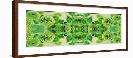 Green Flowers Kalidascope Effect-Tom Quartermaine-Framed Giclee Print