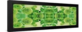 Green Flowers Kalidascope Effect-Tom Quartermaine-Framed Giclee Print