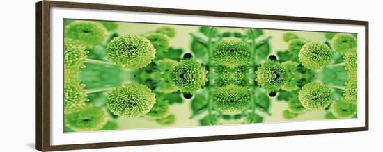 Green Flowers Kalidascope Effect-Tom Quartermaine-Framed Giclee Print